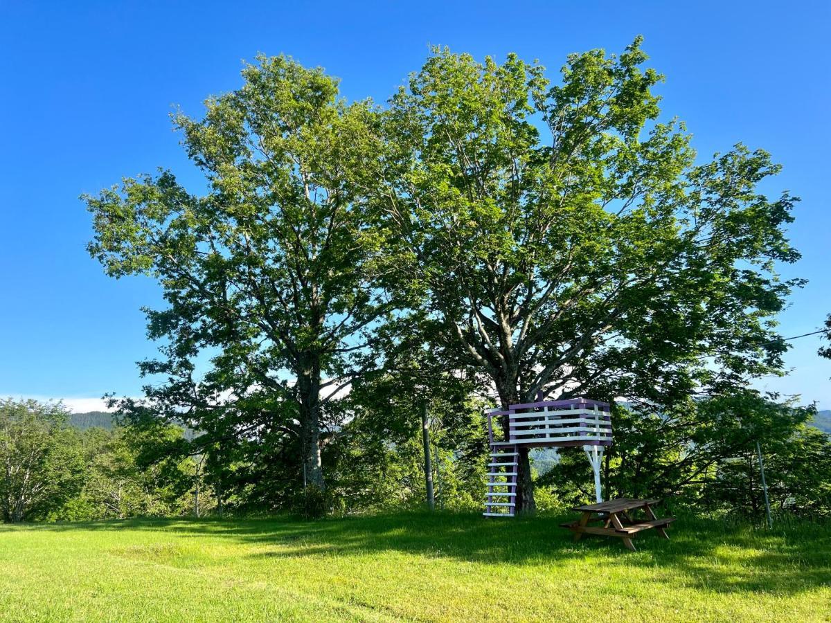 Agriturismo Il Serrino San Marcello Pistoiese Luaran gambar