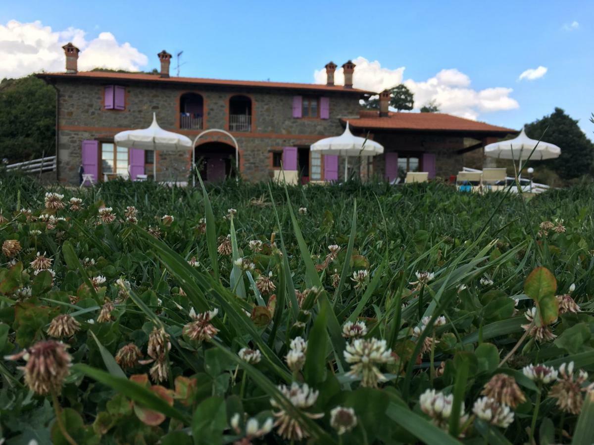 Agriturismo Il Serrino San Marcello Pistoiese Luaran gambar